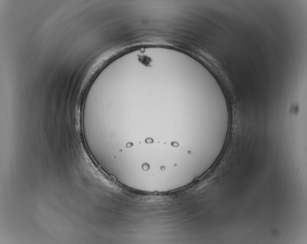 X0000115301188200911161650