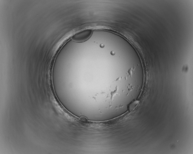 X0000115301189200911161650