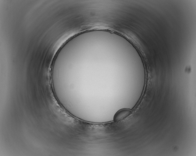 X0000115301190200911161650