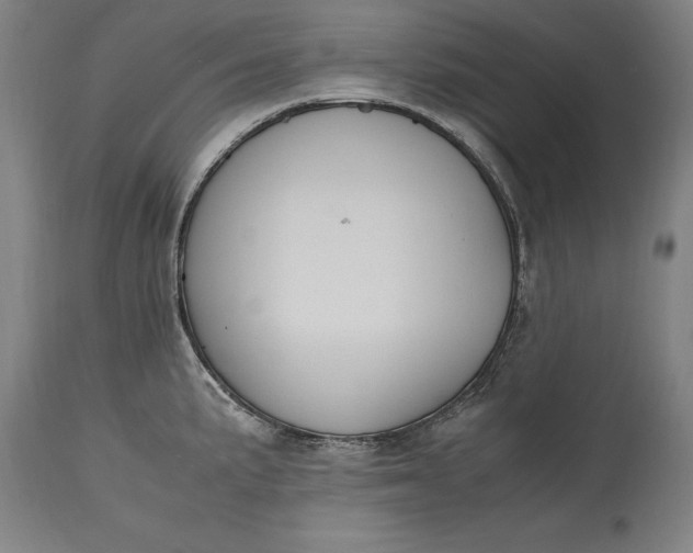 X0000115301191200911161650