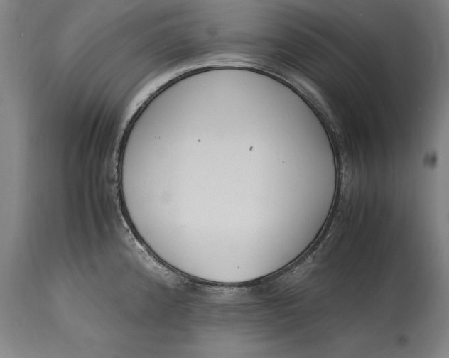 X0000115301192200911161650