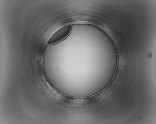 X0000115301193200911161650