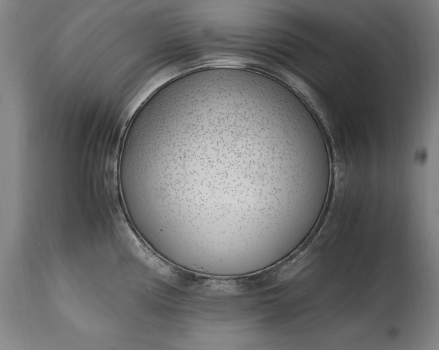 X0000115301194200911161650