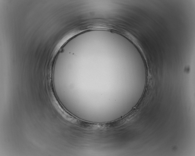 X0000115301195200911161650