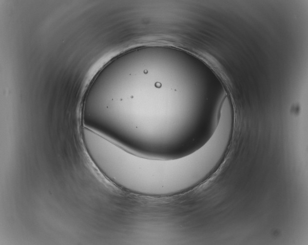 X0000115301196200911161650