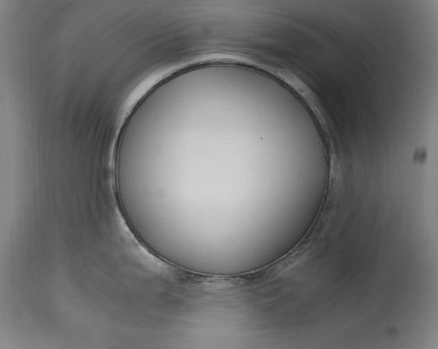 X0000115301199200911161650