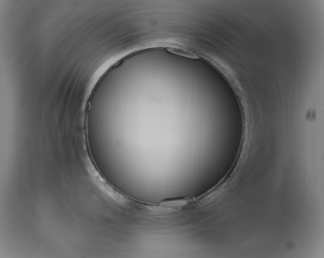 X0000115301200200911161650