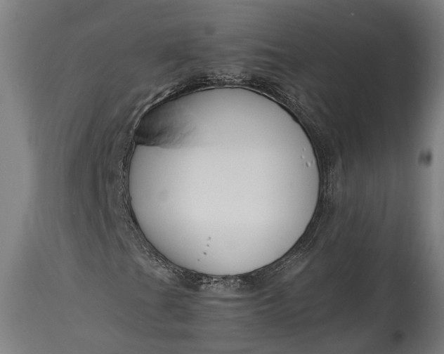 X0000115301201200911161649