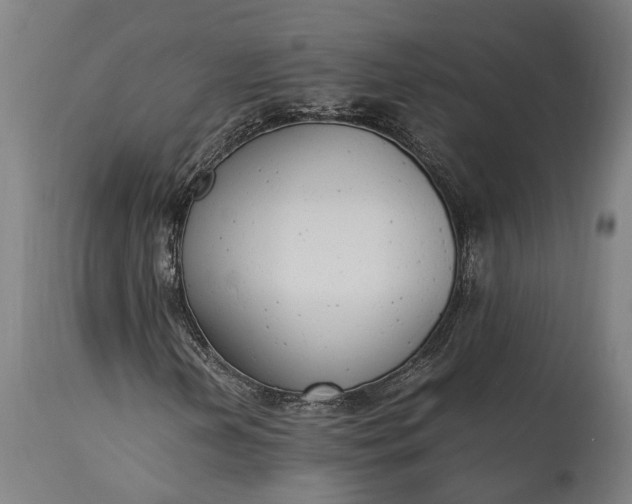 X0000115301202200911161649