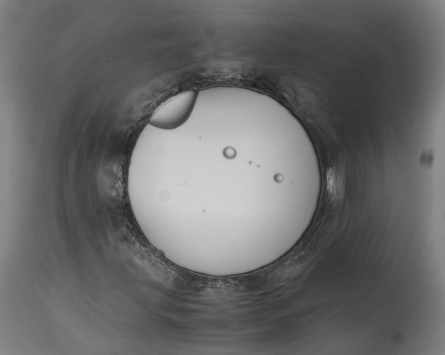 X0000115301203200911161649