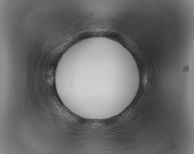 X0000115301204200911161649