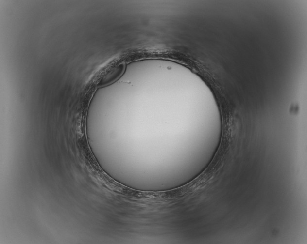 X0000115301205200911161649