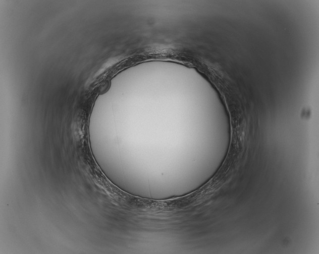 X0000115301206200911161649