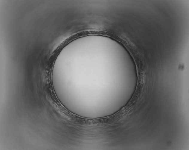 X0000115301208200911161649