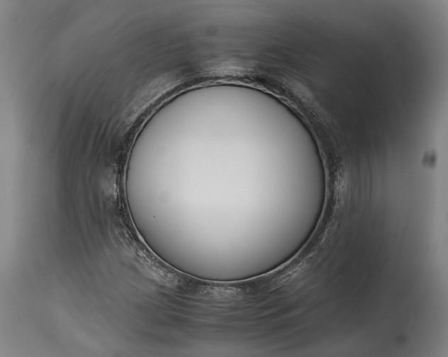 X0000115301209200911161649