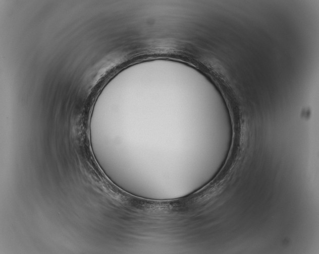 X0000115301210200911161649