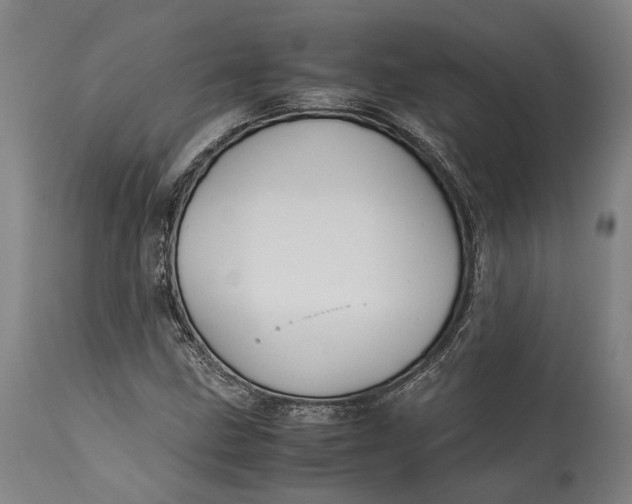 X0000115301211200911161649