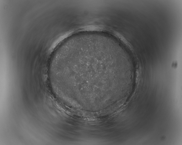 X0000115301213200911161649