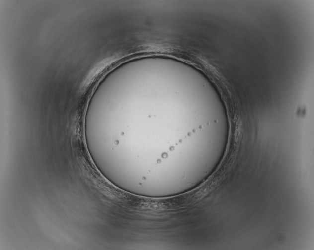 X0000115301215200911161649