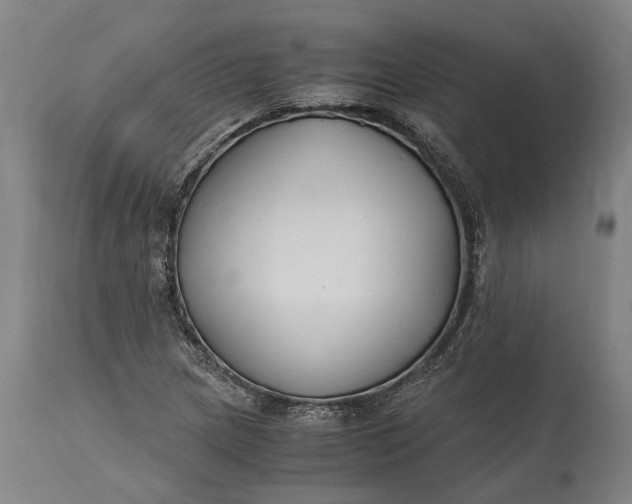 X0000115301217200911161649