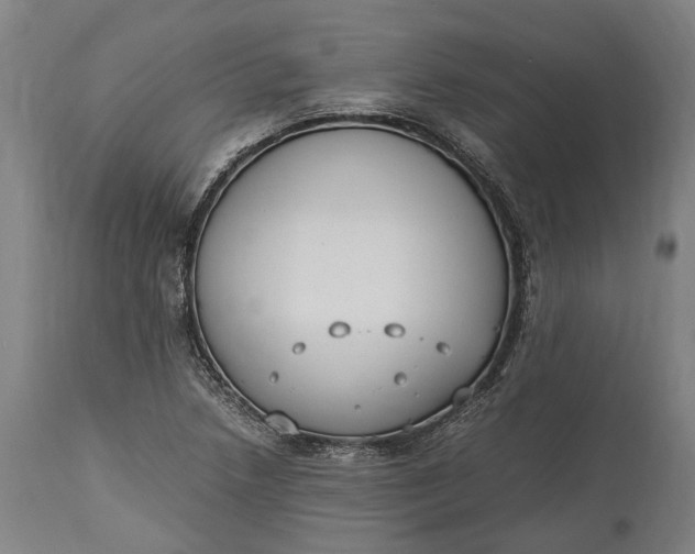 X0000115301218200911161649