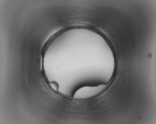 X0000115301219200911161649