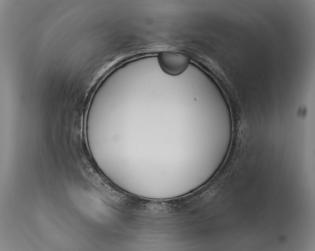 X0000115301220200911161649