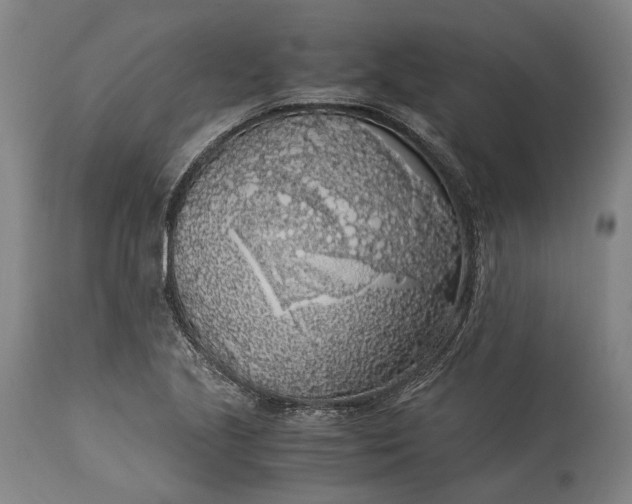 X0000115301221200911161649