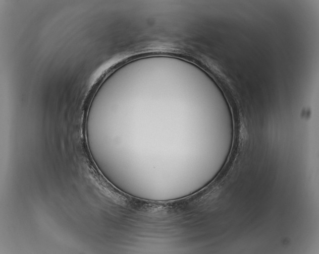 X0000115301222200911161649