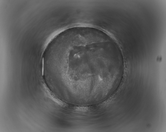 X0000115301223200911161649