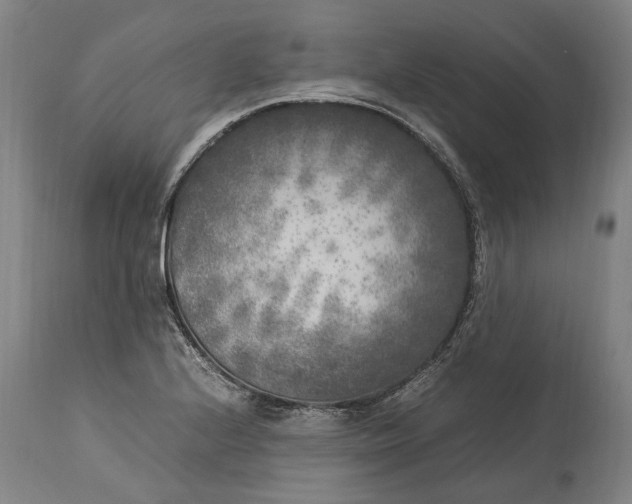 X0000115301224200911161650