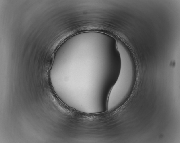 X0000115301225200911161650