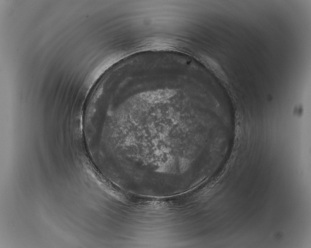 X0000115301226200911161650