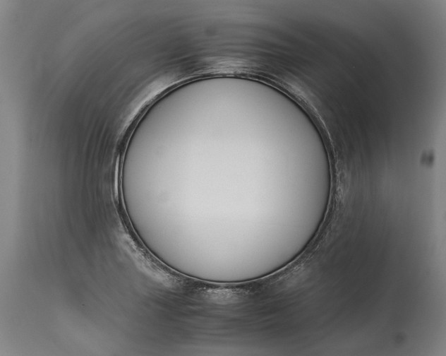 X0000115301227200911161650