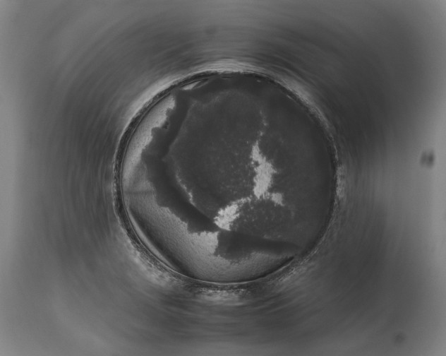 X0000115301229200911161650