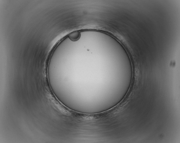 X0000115301230200911161650