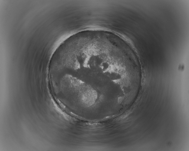 X0000115301231200911161650