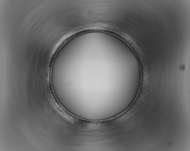 X0000115301232200911161650