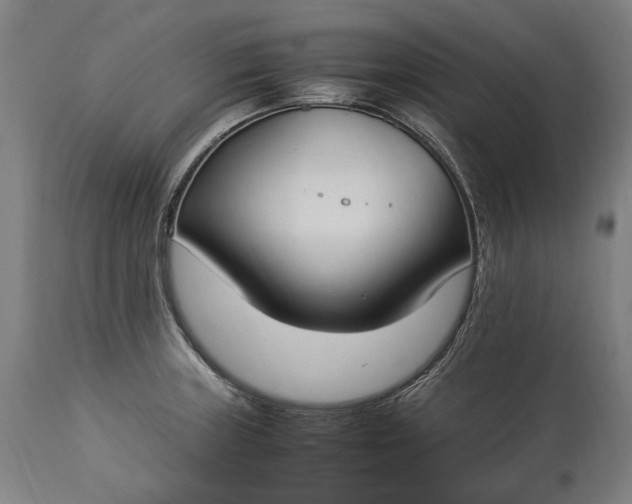 X0000115301235200911161650