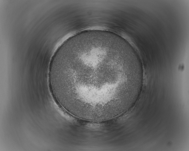 X0000115301237200911161650