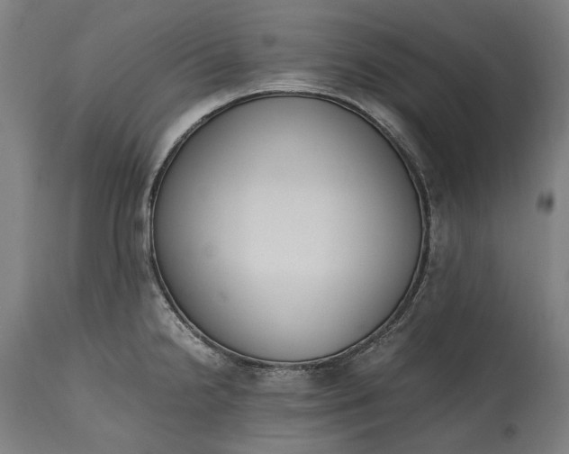 X0000115301238200911161650