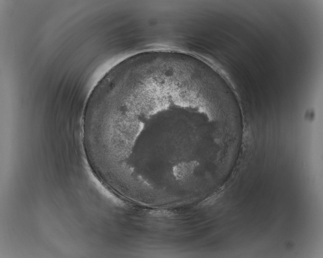 X0000115301239200911161650