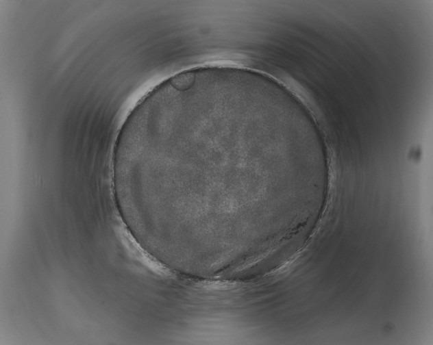 X0000115301240200911161650