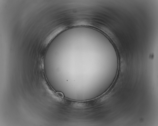 X0000115301241200911161650