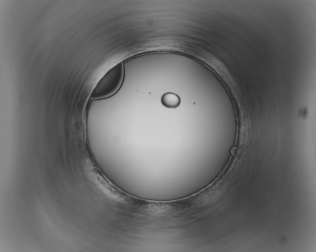 X0000115301242200911161650