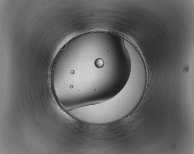 X0000115301243200911161650