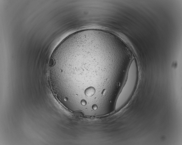 X0000115301244200911161650