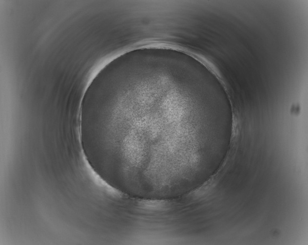 X0000115301247200911161650