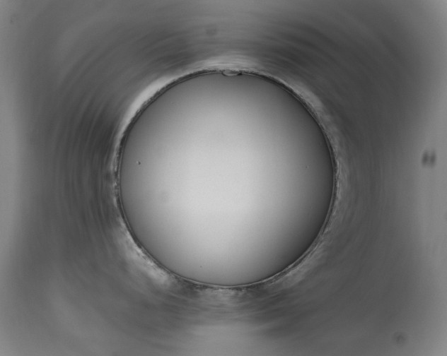 X0000115301248200911161650