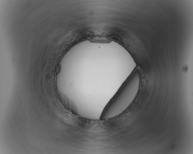 X0000115301249200911161649